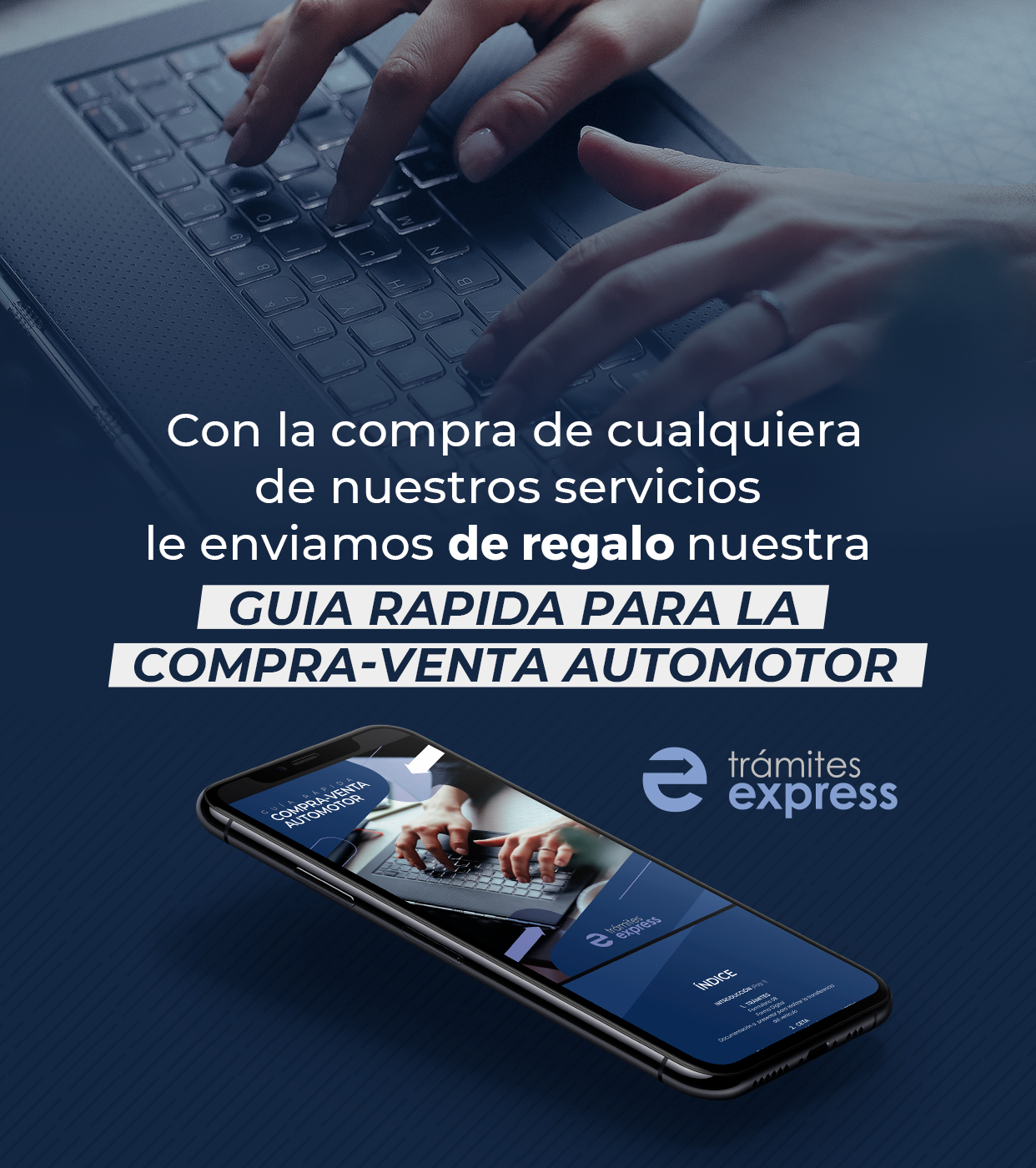 Informe de Dominio Banner